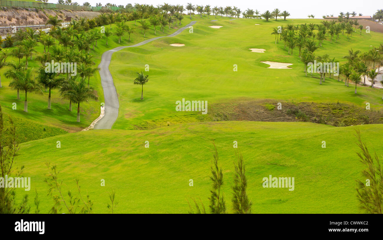 Gran Canaria Meloneras golf green grass and palm trees in Canary Islands  Stock Photo - Alamy