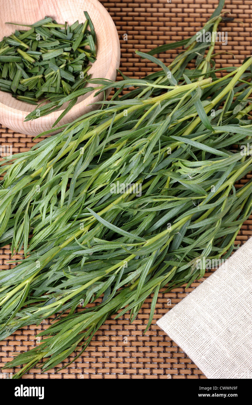 A bunch tarragon, used in cooking and medicine plants Stock Photo Alamy