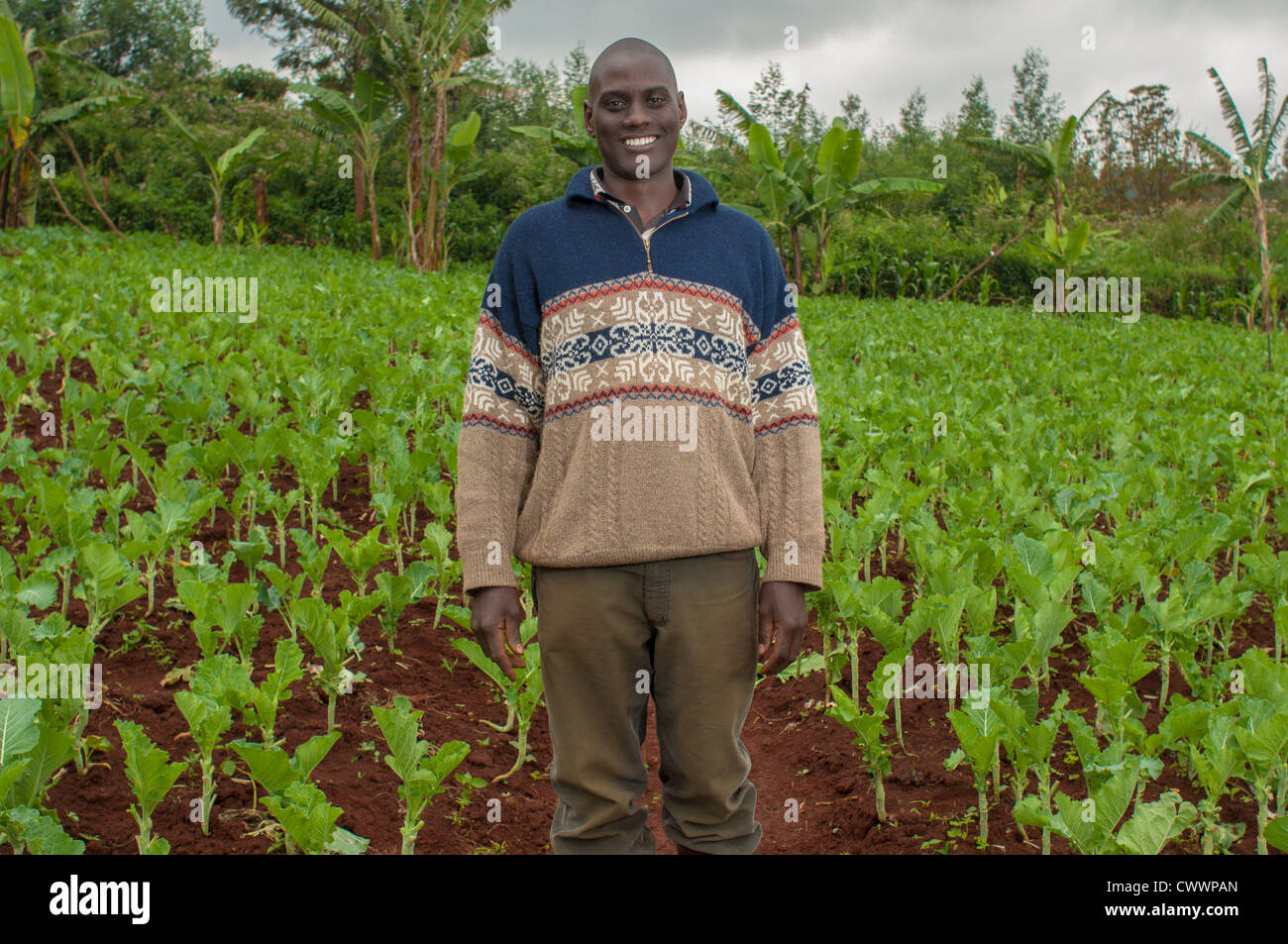 Edward Kinyanjui, 39, runs a small family farm about an hour by car from  Nairobi, in in the village Uthiru. Uses water pumps Stock Photo - Alamy