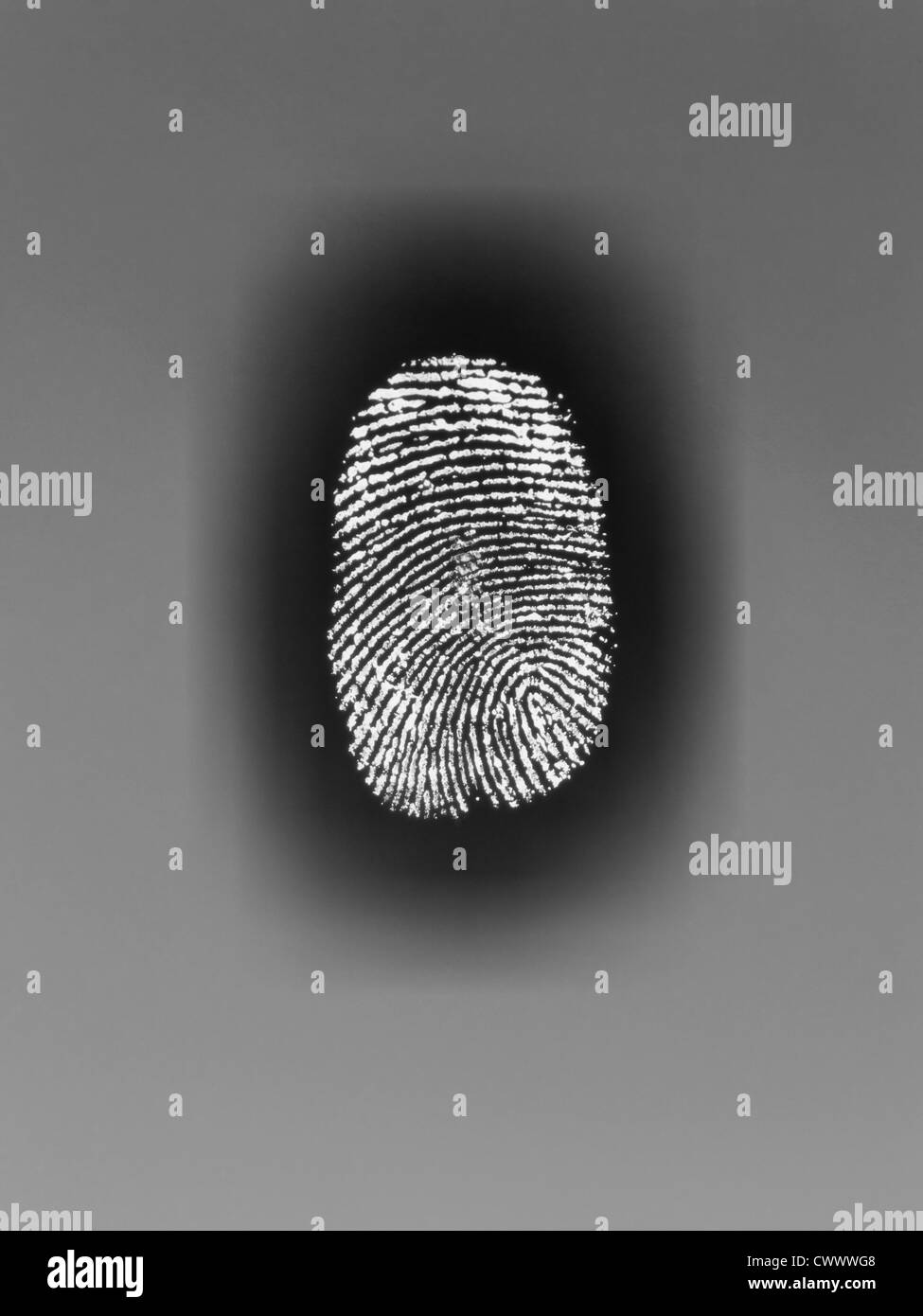 Close up of fingerprint on paper Stock Photo