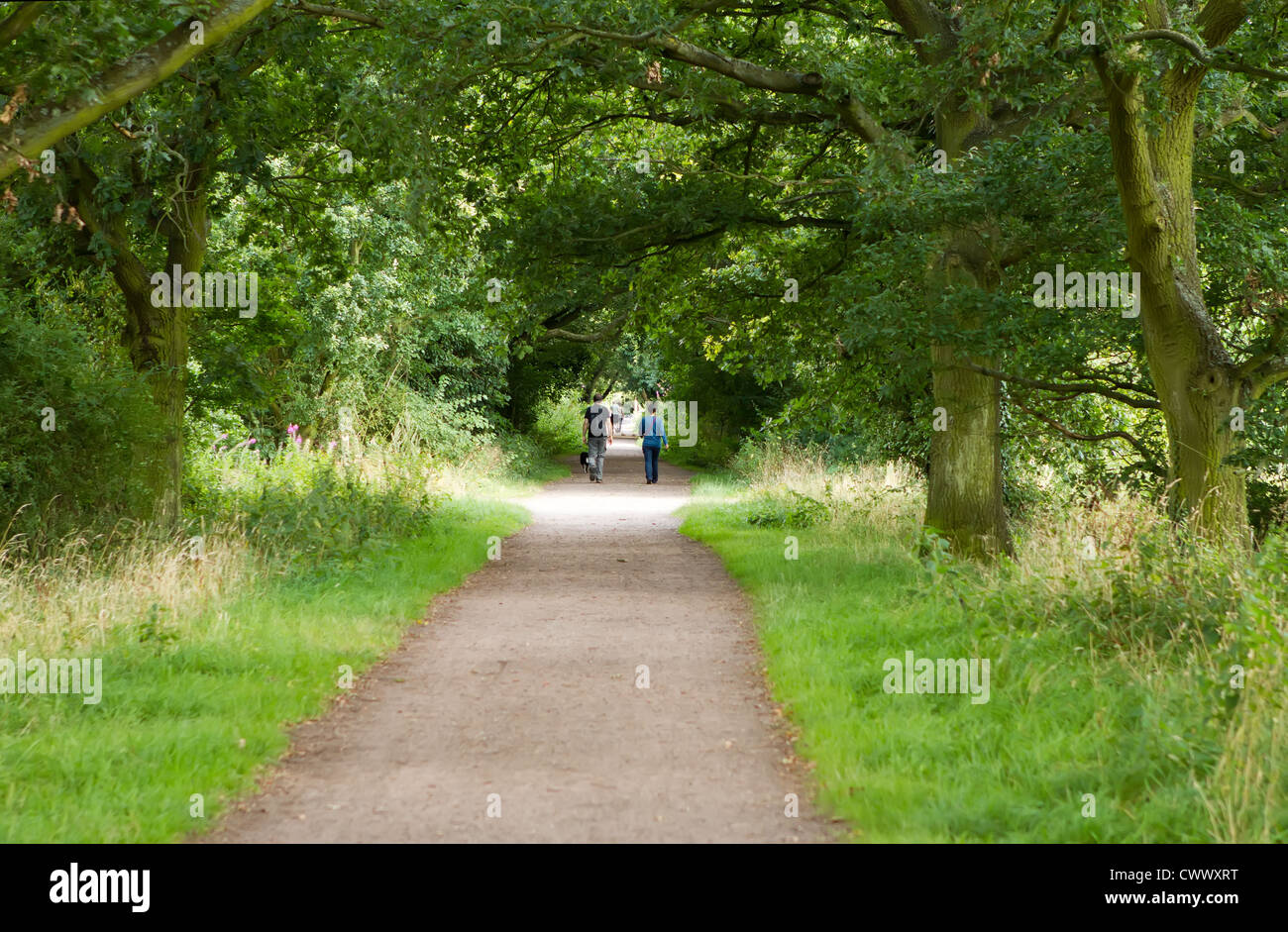 young couple walking their dog along a country path Stock Photo