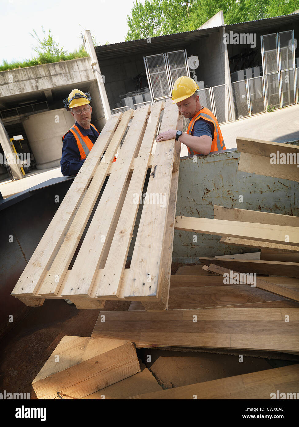 Workers hauling plywood on site Stock Photo
