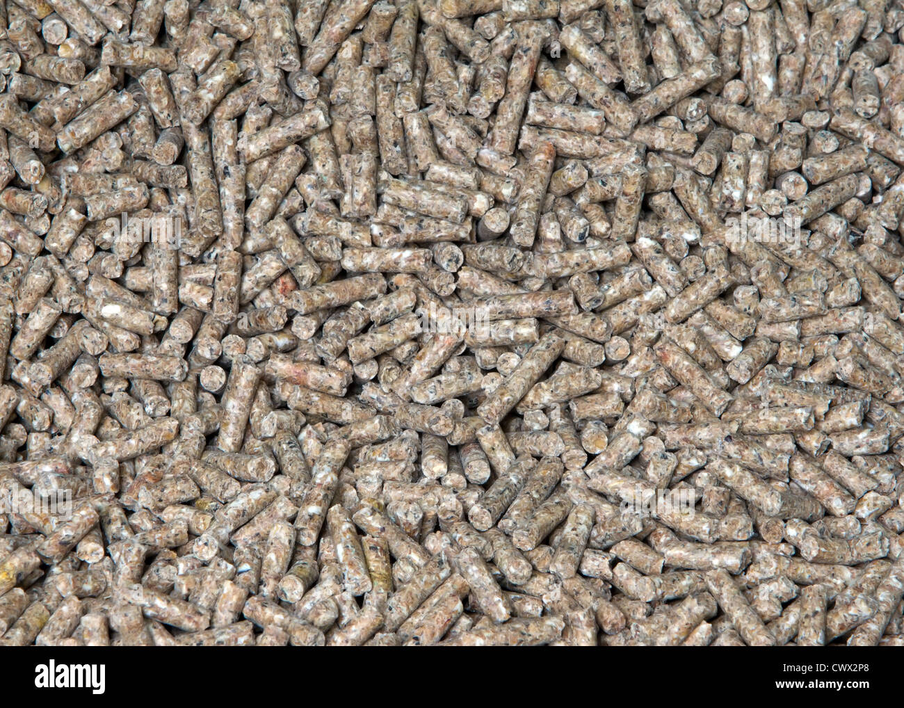 close up view of chicken pellets Stock Photo Alamy