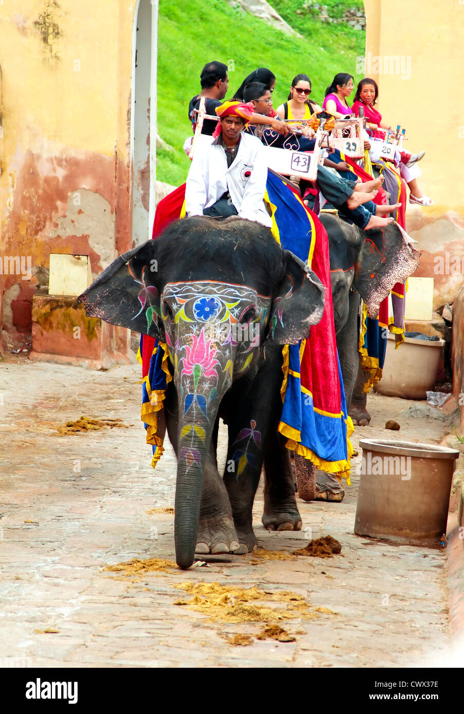 Elephants and Mahouts taking tourists up to the Amber Fort near Jaipur, India Stock Photo