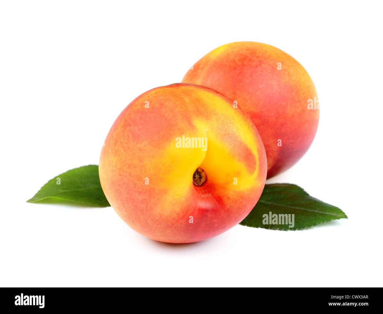 Fresh Peach Fruits with Green Leaves Isolated on White Background in