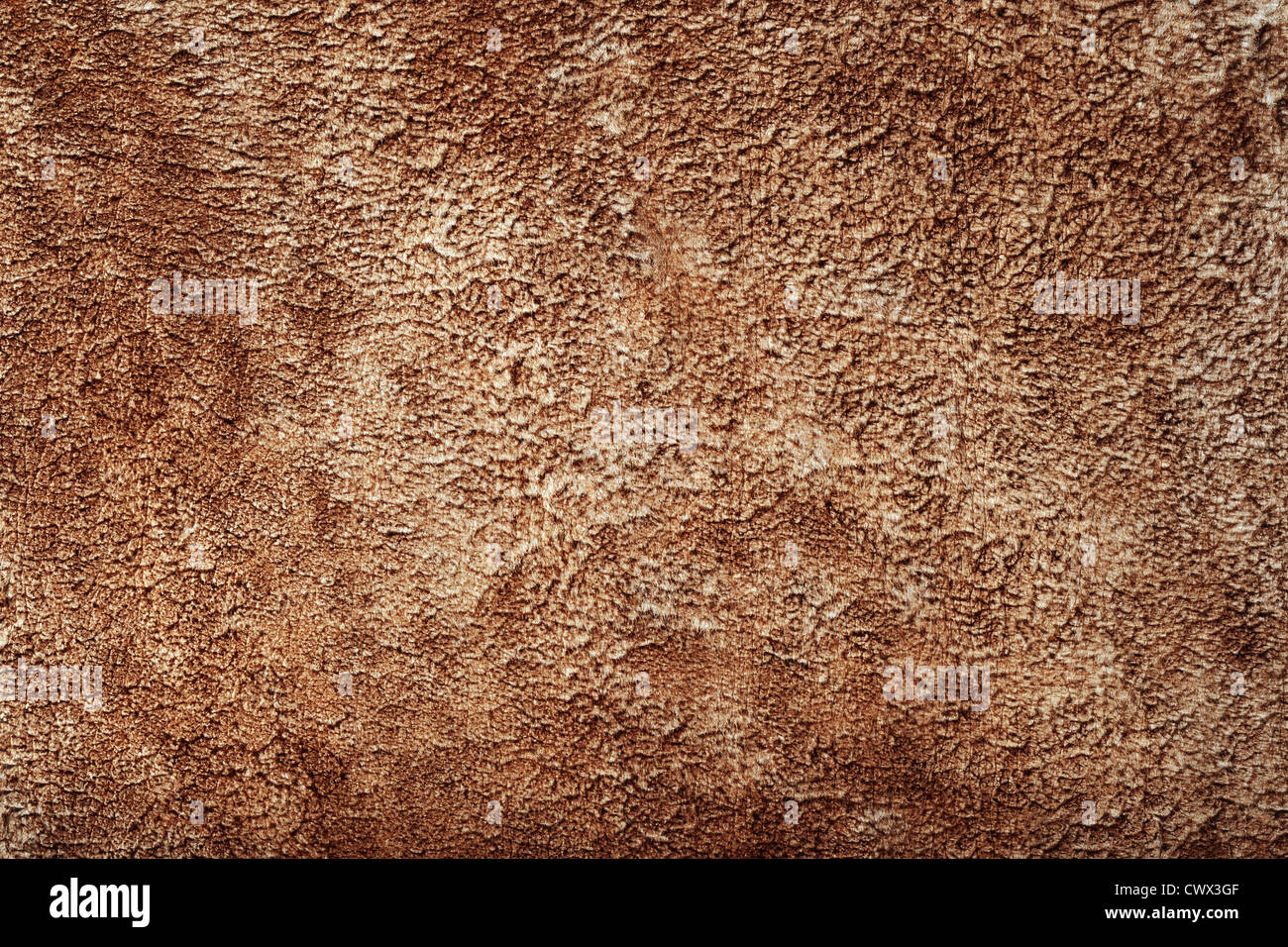 Animal skin texture hi-res stock photography and images - Alamy Animal skin texture hi-res stock photography and images - Alamy