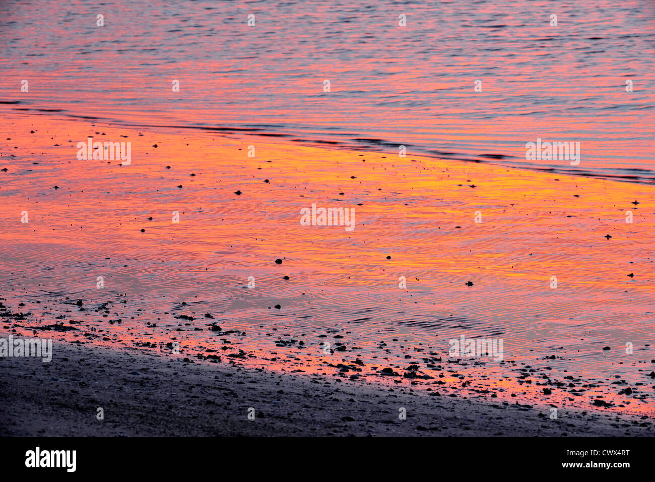Low tide mudflats of Sanibel Island causeway shoreline at sunrise, Sanibel Island, Florida, USA Stock Photo