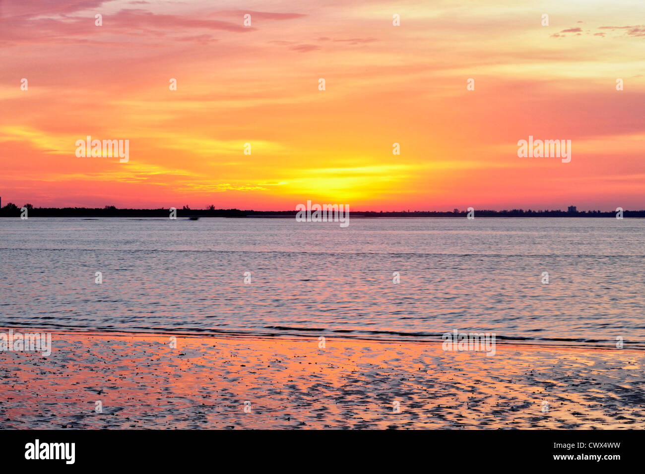 Low tide mudflats of Sanibel Island causeway shoreline at sunrise