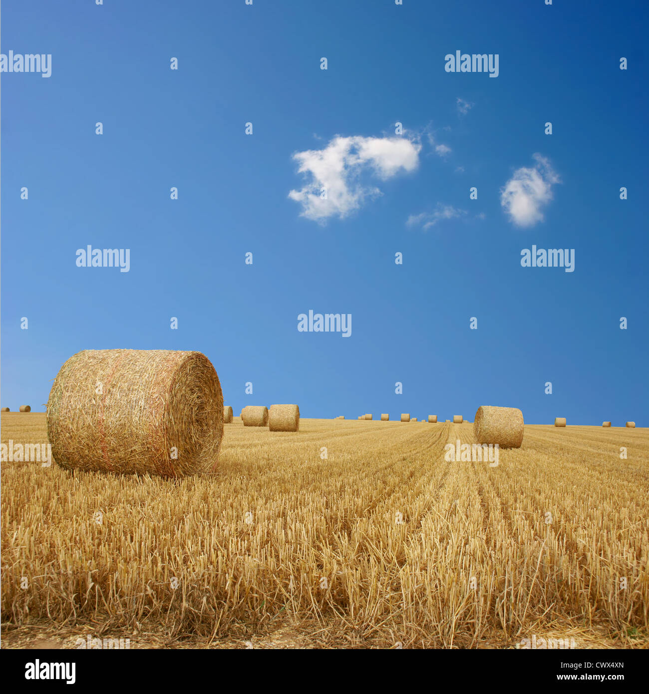 Straw Bales on Farmland with blue Sky Stock Photo - Alamy