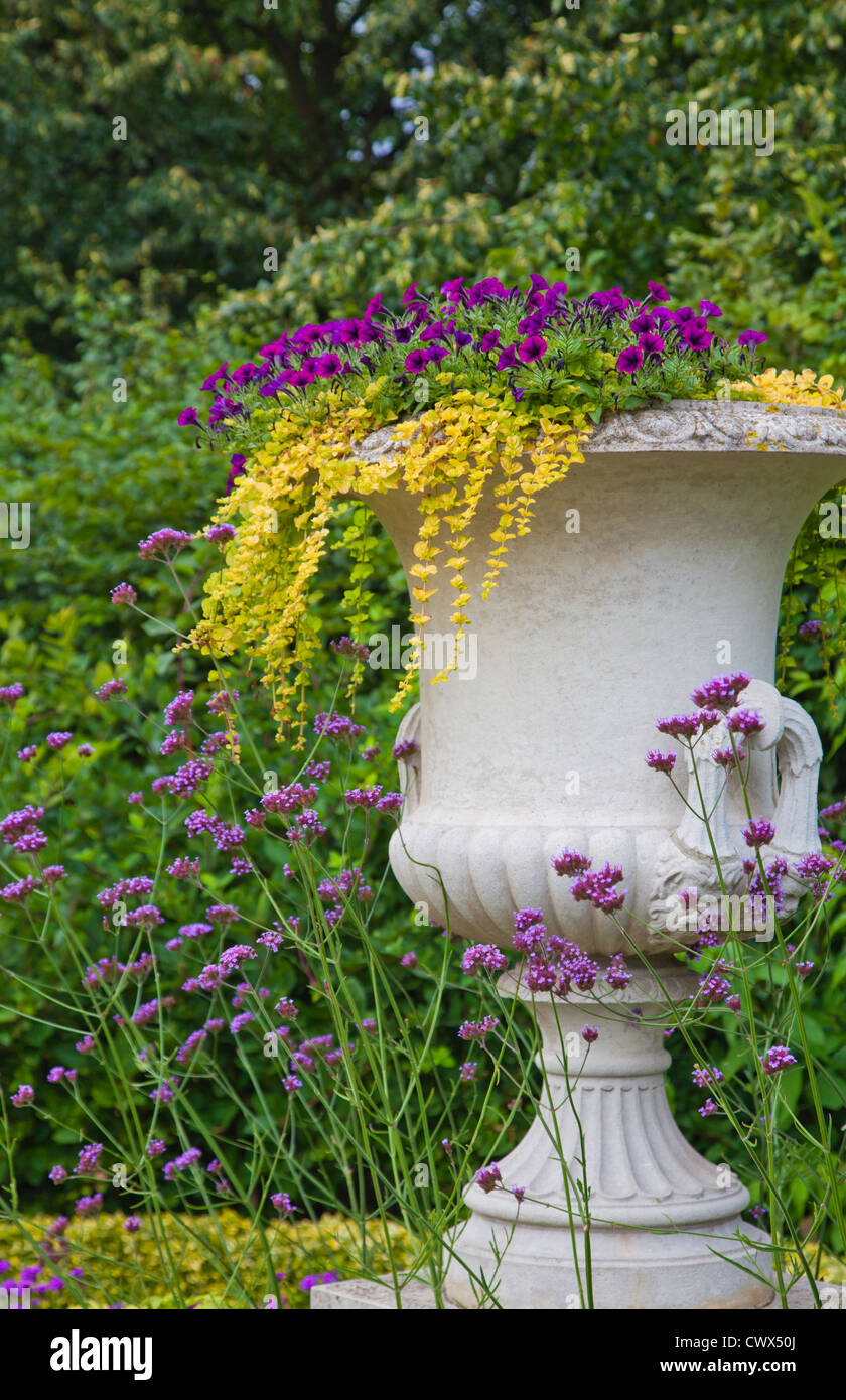 summer garden - flower urn in yellow and purple Stock Photo