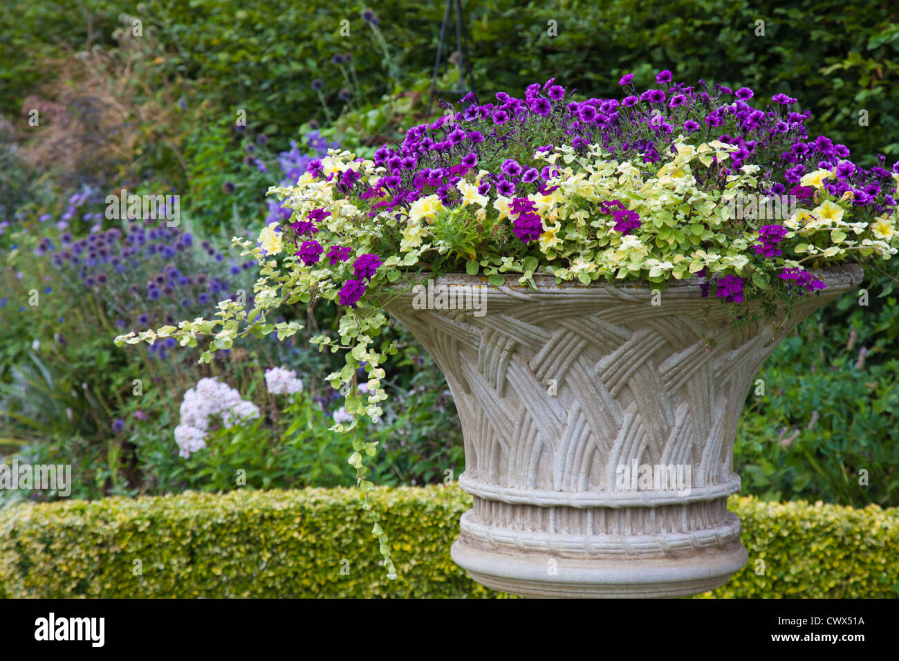 summer garden - flower urn in yellow and purple Stock Photo