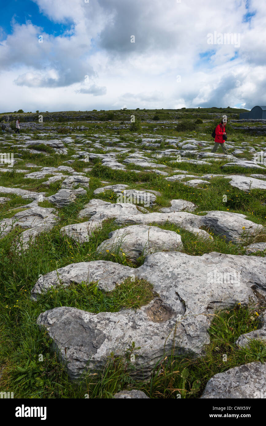 The Burren, Co. Clare, Ireland. Limestone pavements crisscrossing