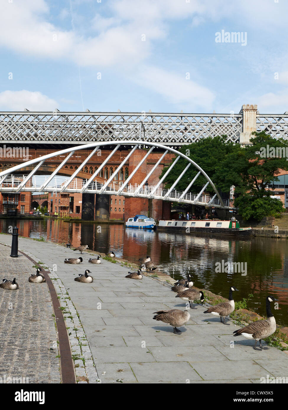 Merchants bridge over Bridgewater Canal with geese in Castlefield Manchester UK Stock Photo