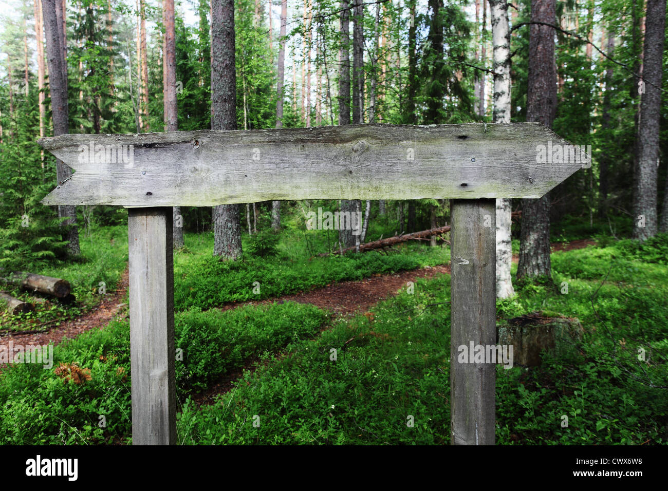 Blank old wood road hi-res stock photography and images - Alamy