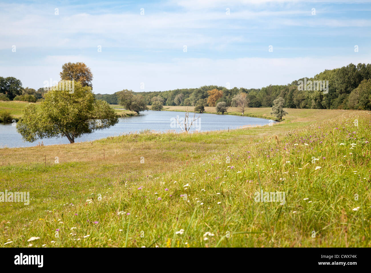 River Havel near Quitzoebel, Brandenburg, Germany Stock Photo