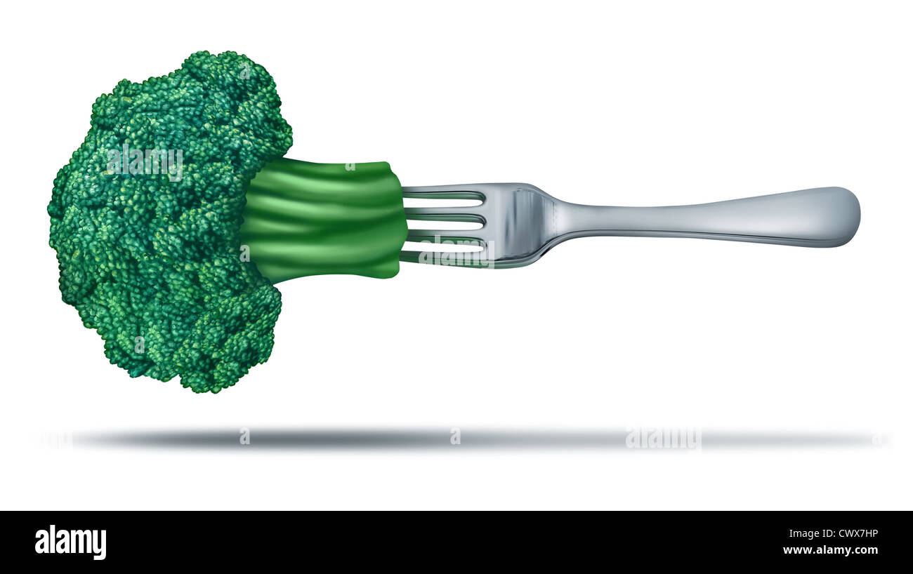 Health food with brocoli on a fork showing a natural green organic juicy vegetable with a silver metal fork in it to represent healthy eating and vegetarian or dieting lifestyle. Stock Photo