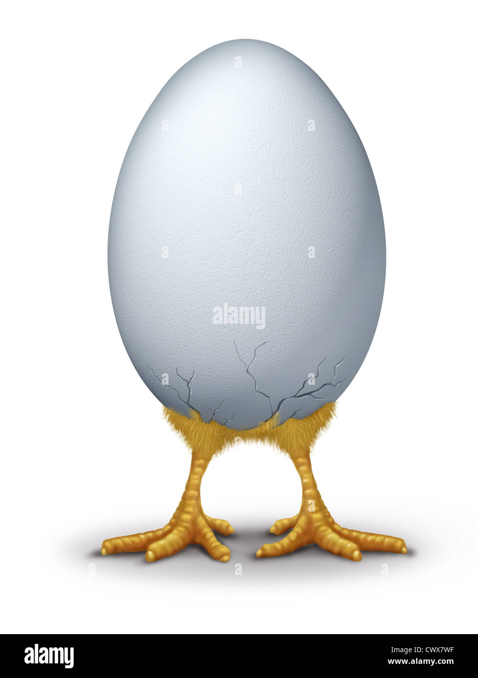 Funny easter egg with humorous hatchling baby bird chick breaking through the new shell showing new life. Stock Photo