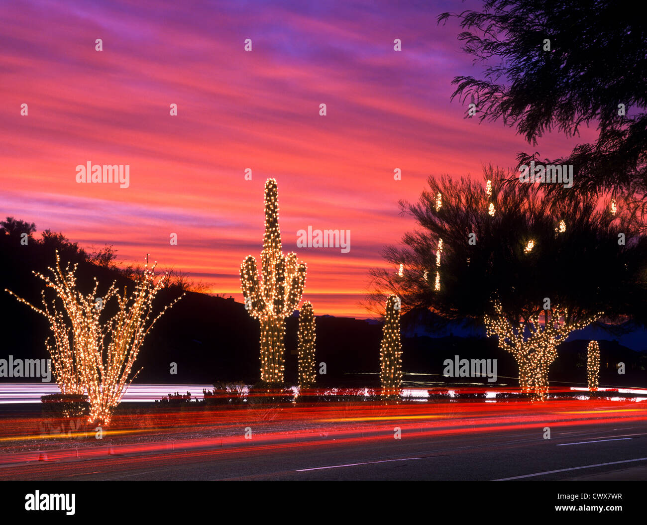 Every year the city of Ahwahtukee/Phoenix puts up all these great Christmas lights along Chandler Blvd. Stock Photo