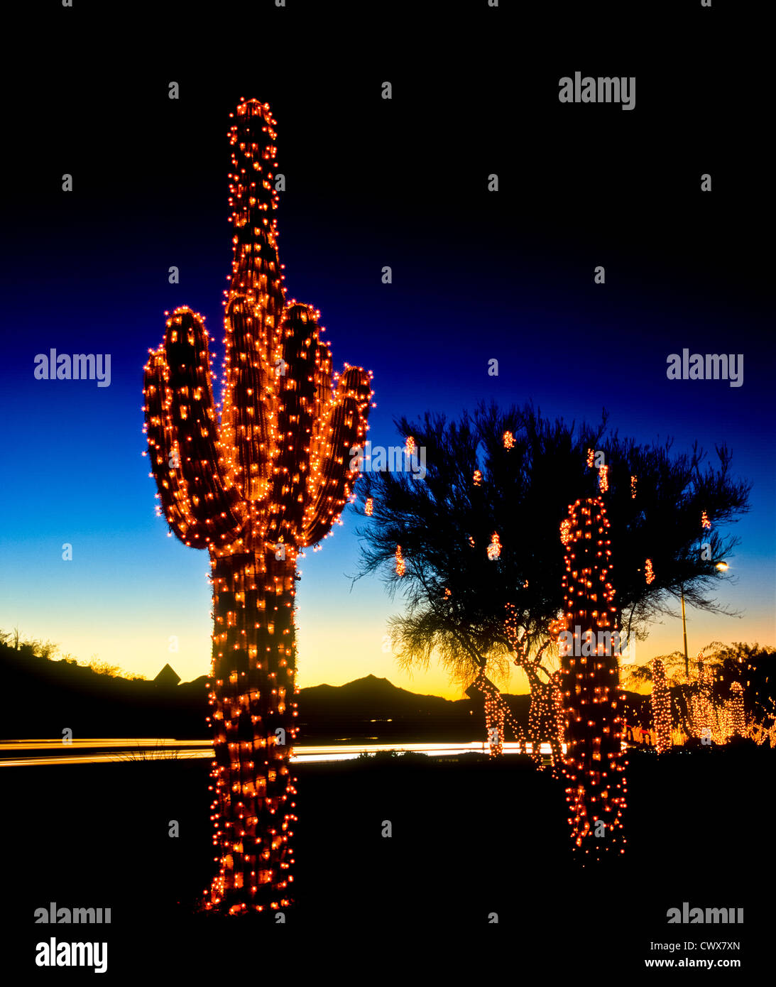 Every year the city of Ahwahtukee/Phoenix puts up all these great Christmas lights along Chandler Blvd. Stock Photo