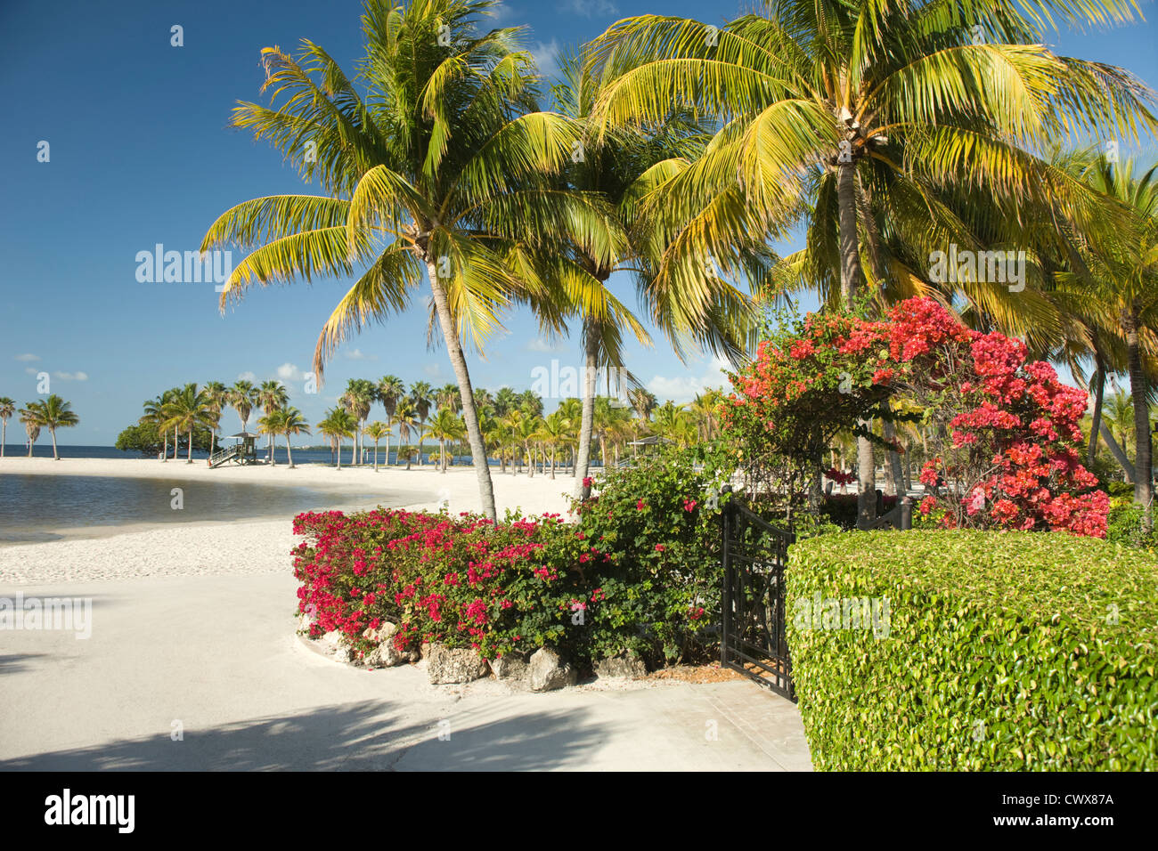 SAND BEACH MATHESON HAMMOCK COUNTY PARK MIAMI FLORIDA USA Stock Photo