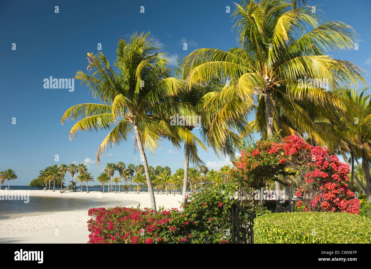 SAND BEACH MATHESON HAMMOCK COUNTY PARK MIAMI FLORIDA USA Stock Photo