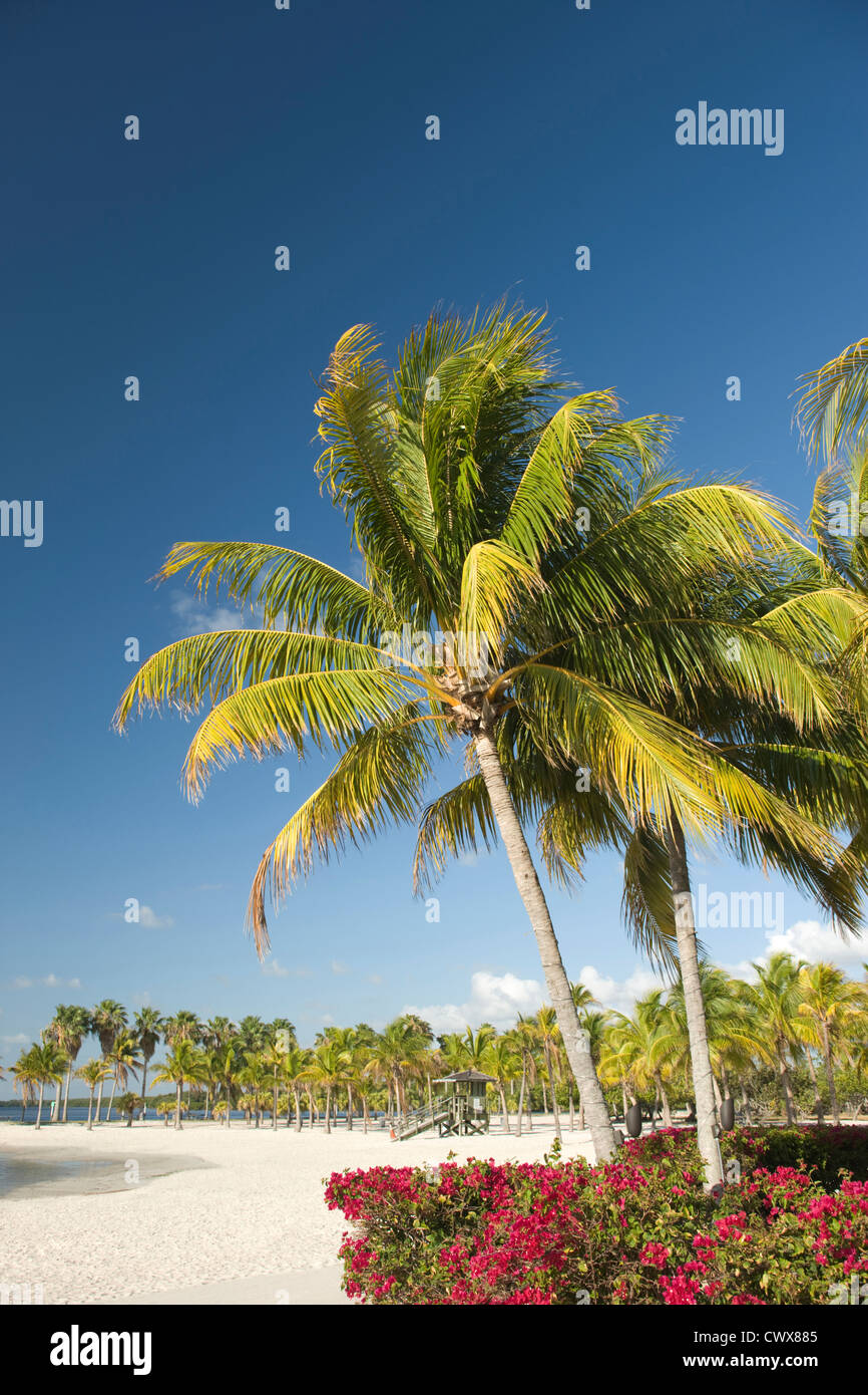 SAND BEACH MATHESON HAMMOCK COUNTY PARK MIAMI FLORIDA USA Stock Photo