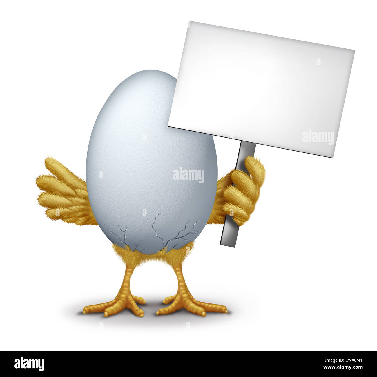 Funny egg holding a blank sign with humorous hatching baby bird chick breaking through the thin shell showing new life as a symbol of early bird and morning announcement. Stock Photo