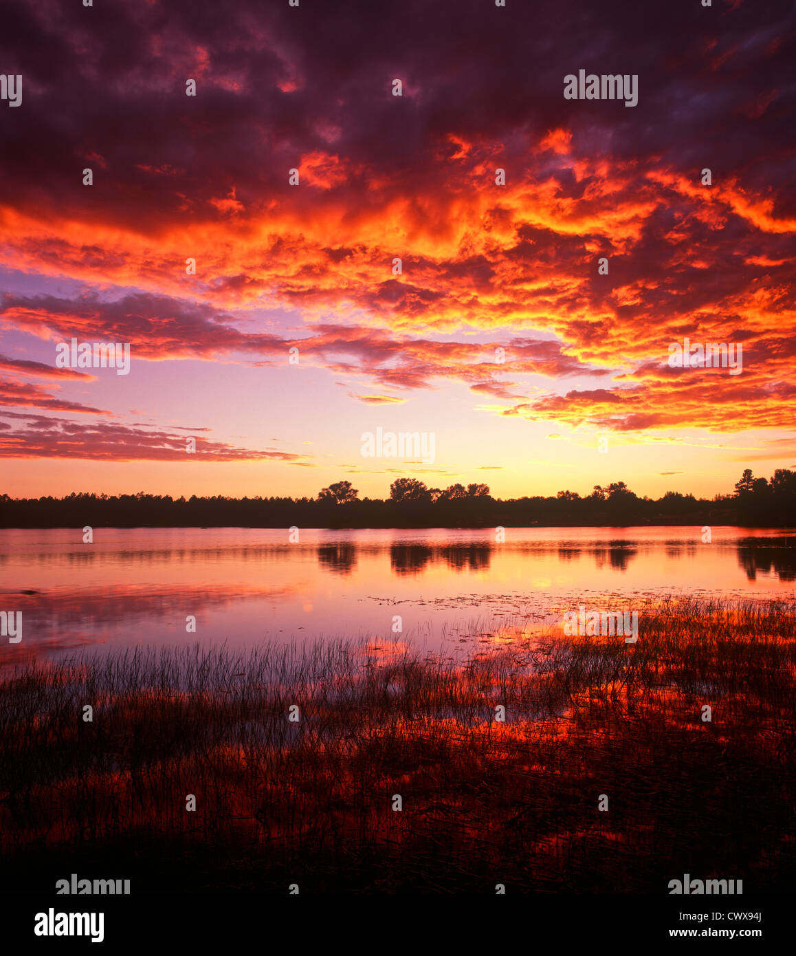 A stunning sunset over Rainbow Lake near Show Low, Arizona. Fourth of