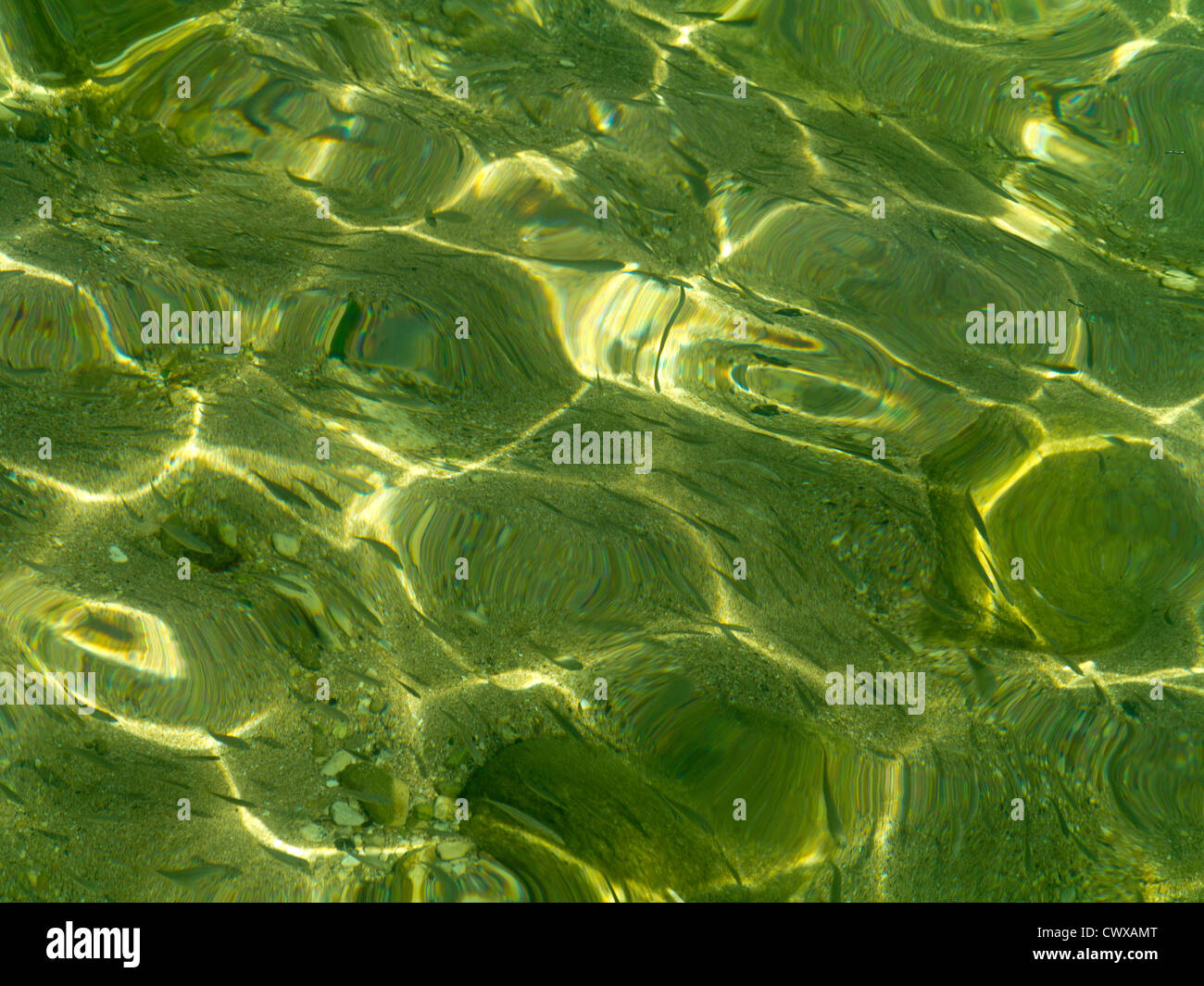 Distorted in water hi-res stock photography and images - Alamy