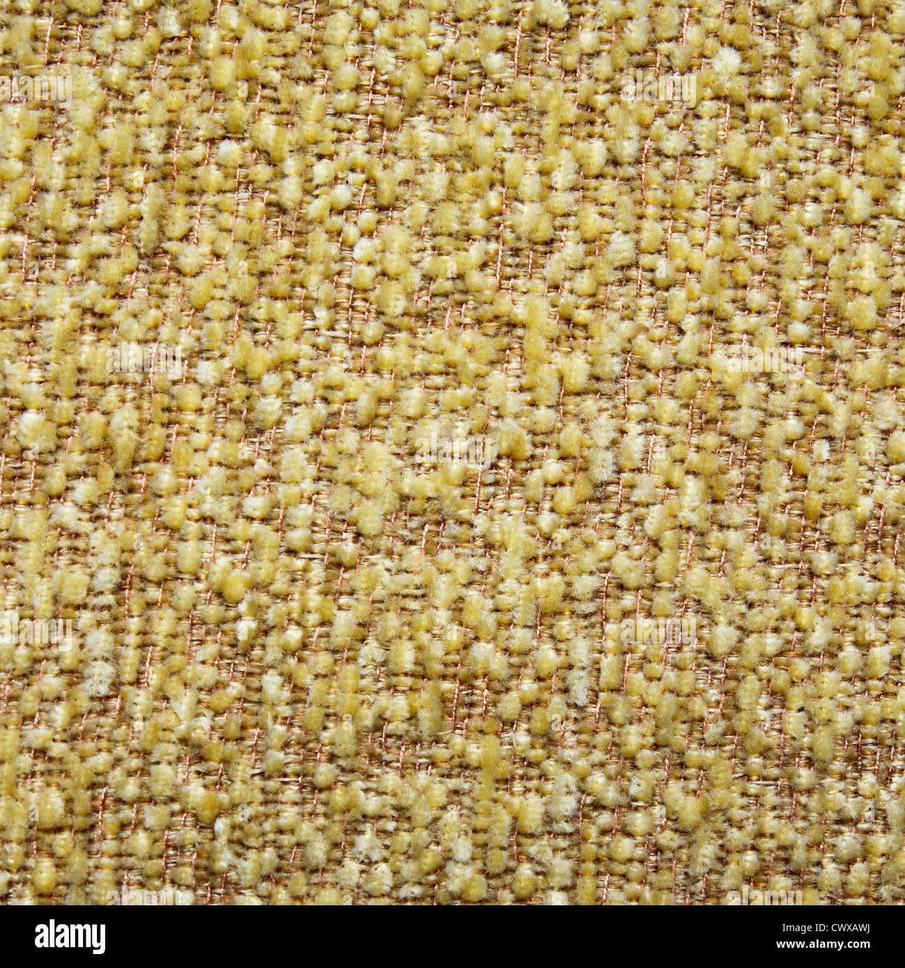 Blue jasmine book cover hires stock photography and images Alamy