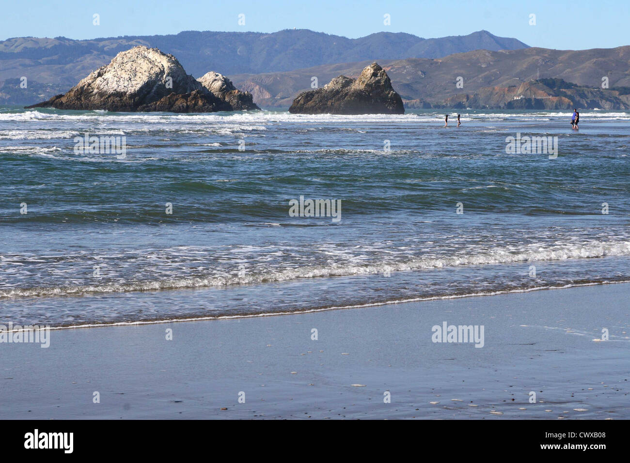 Sea Rocks California Ocean beach seal rocks san francisco hi-res stock photography and ...