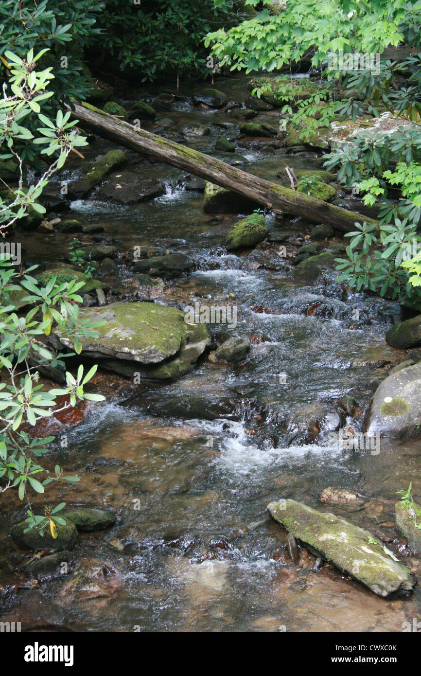 mountain streams  rivers creeks stream creek Stock Photo