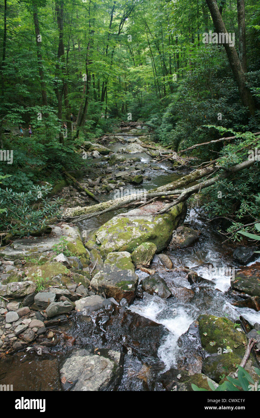 mountain stream river creek stream Stock Photo