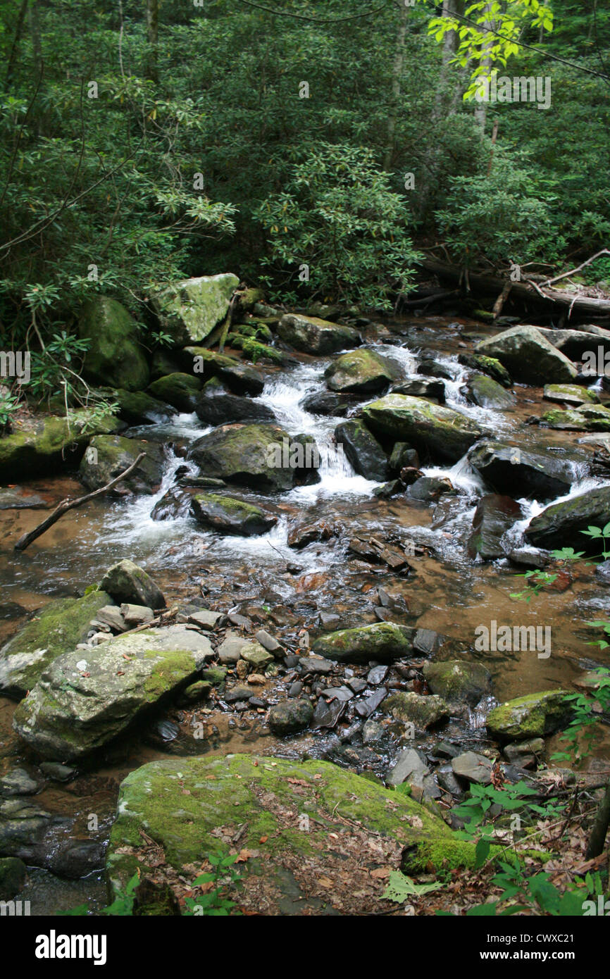 mountain stream river creek stream Stock Photo