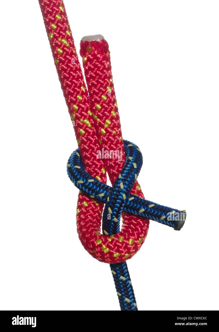 Sailing Knot Sheet bend knot made of a thick red and a thin blue rope