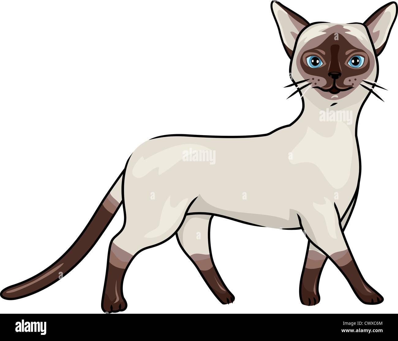 Illustration of a Siamese Cat Walking Gracefully Stock Photo - Alamy