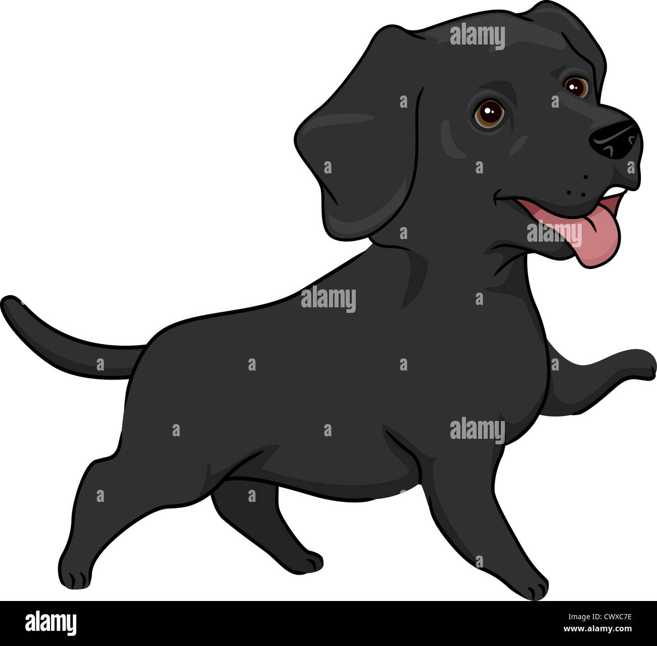 Illustration Featuring a Cute and Playful Black Labrador Retriever Stock Photo Alamy