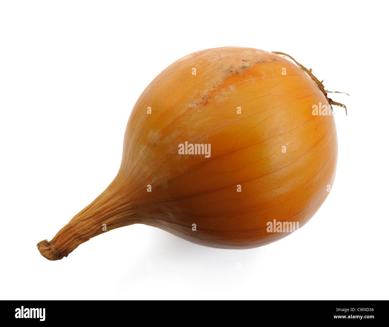 Yellow onion on a white background, isolated Stock Photo Alamy