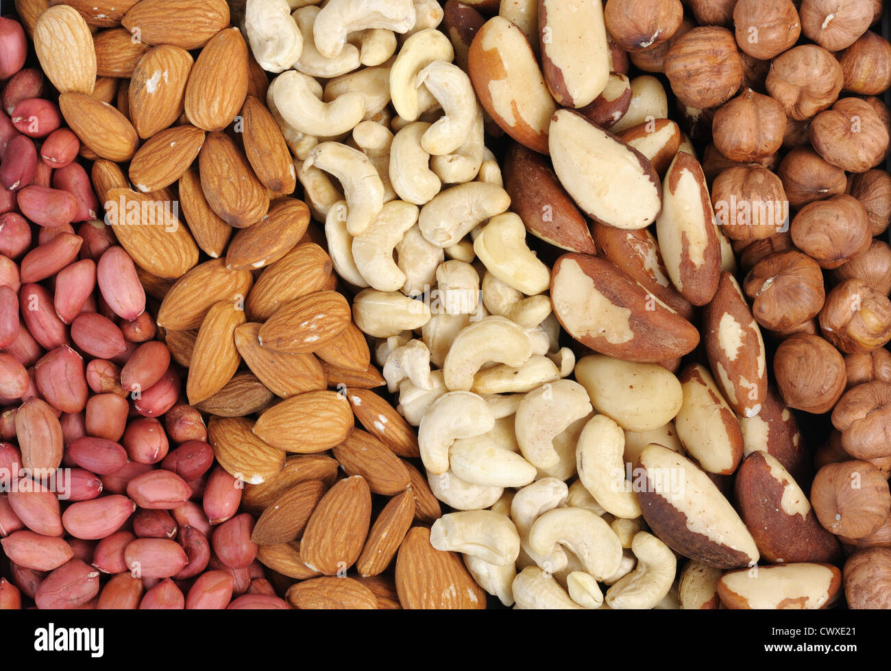 Set of nuts peanuts, cashews, almonds, Brazil nuts, walnuts Stock