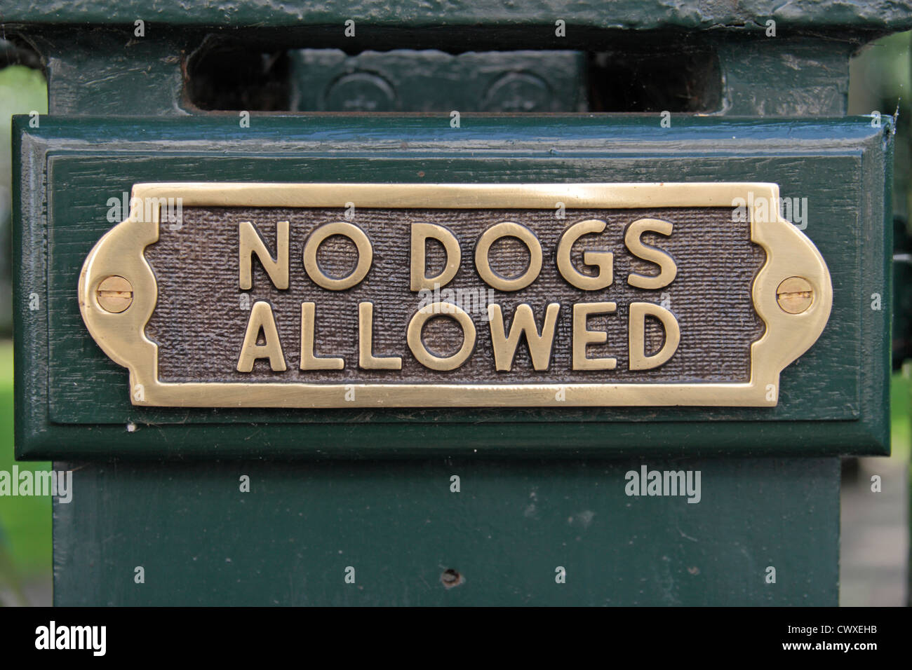 A "No Dogs Allowed" sign on a green fence (on Eaton Square), London SW1, UK Stock Photo Alamy