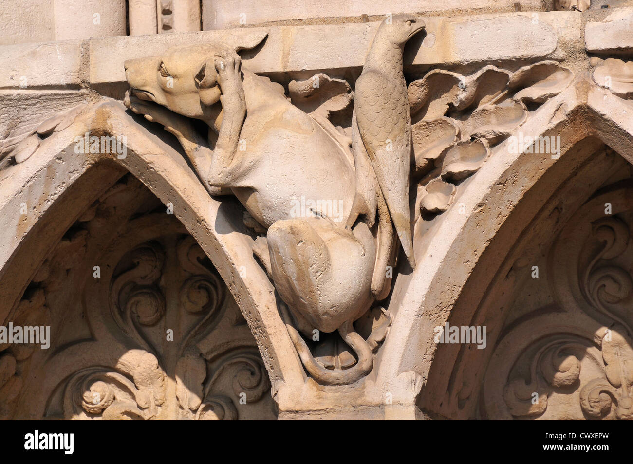 Paris, France. Notre Dame cathedral - facade detail. Carved stone dog and falcon Stock Photo