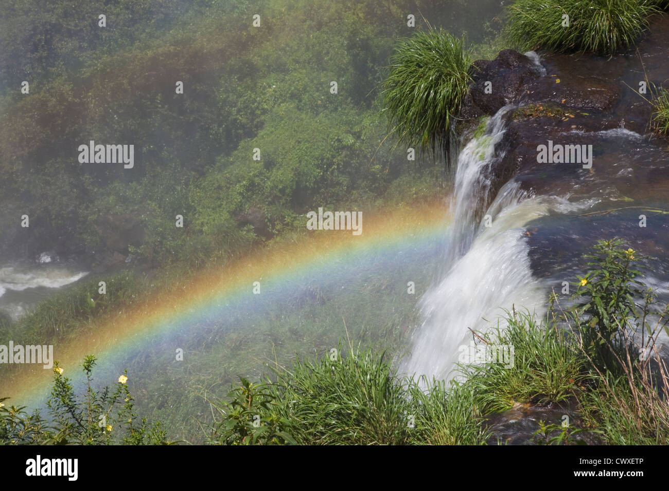 Rainbow from the top of Iguazu falls, Misiones, Argentina Stock Photo