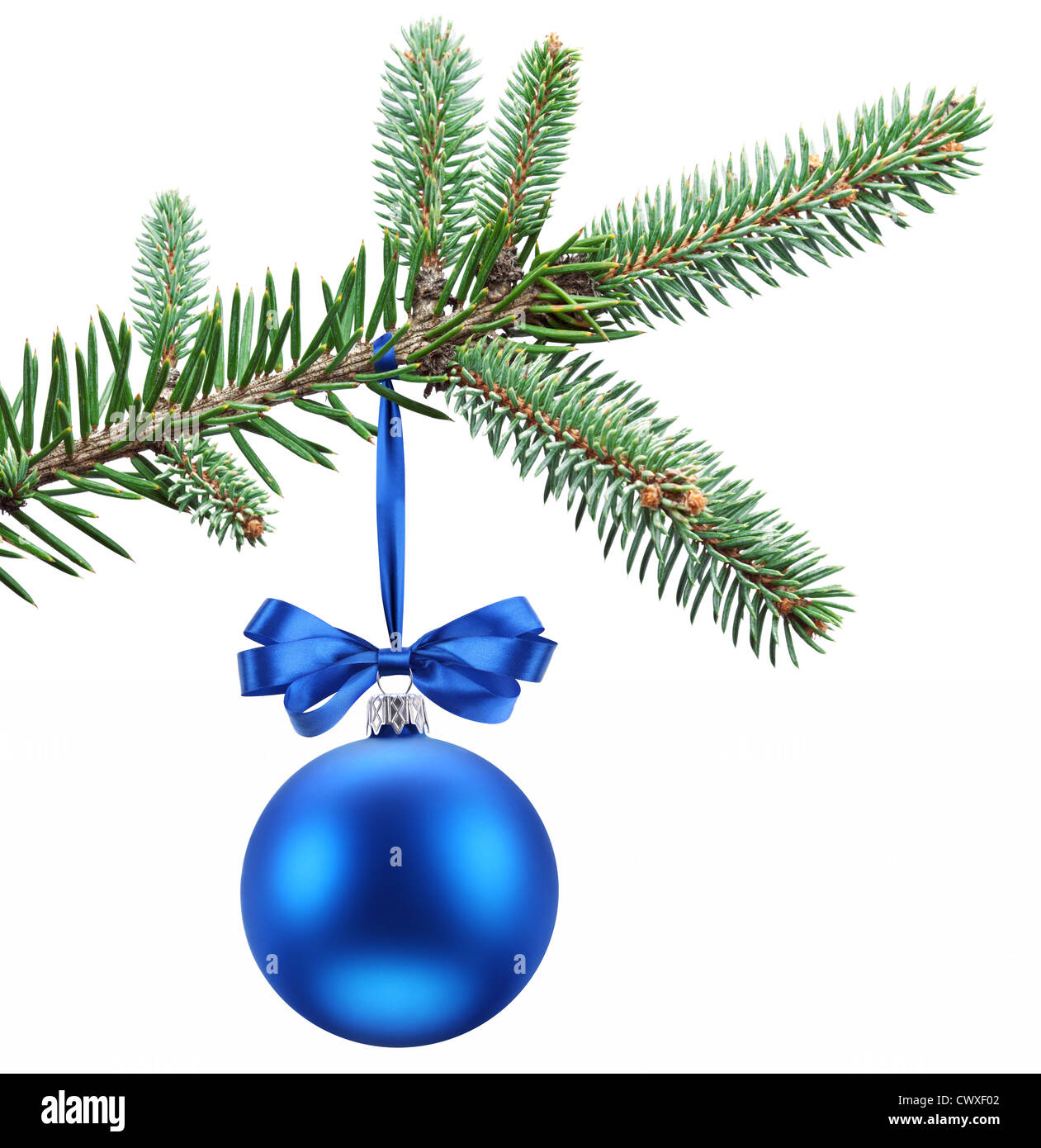Christmas ball on fir branches. Isolated on white. Stock Photo