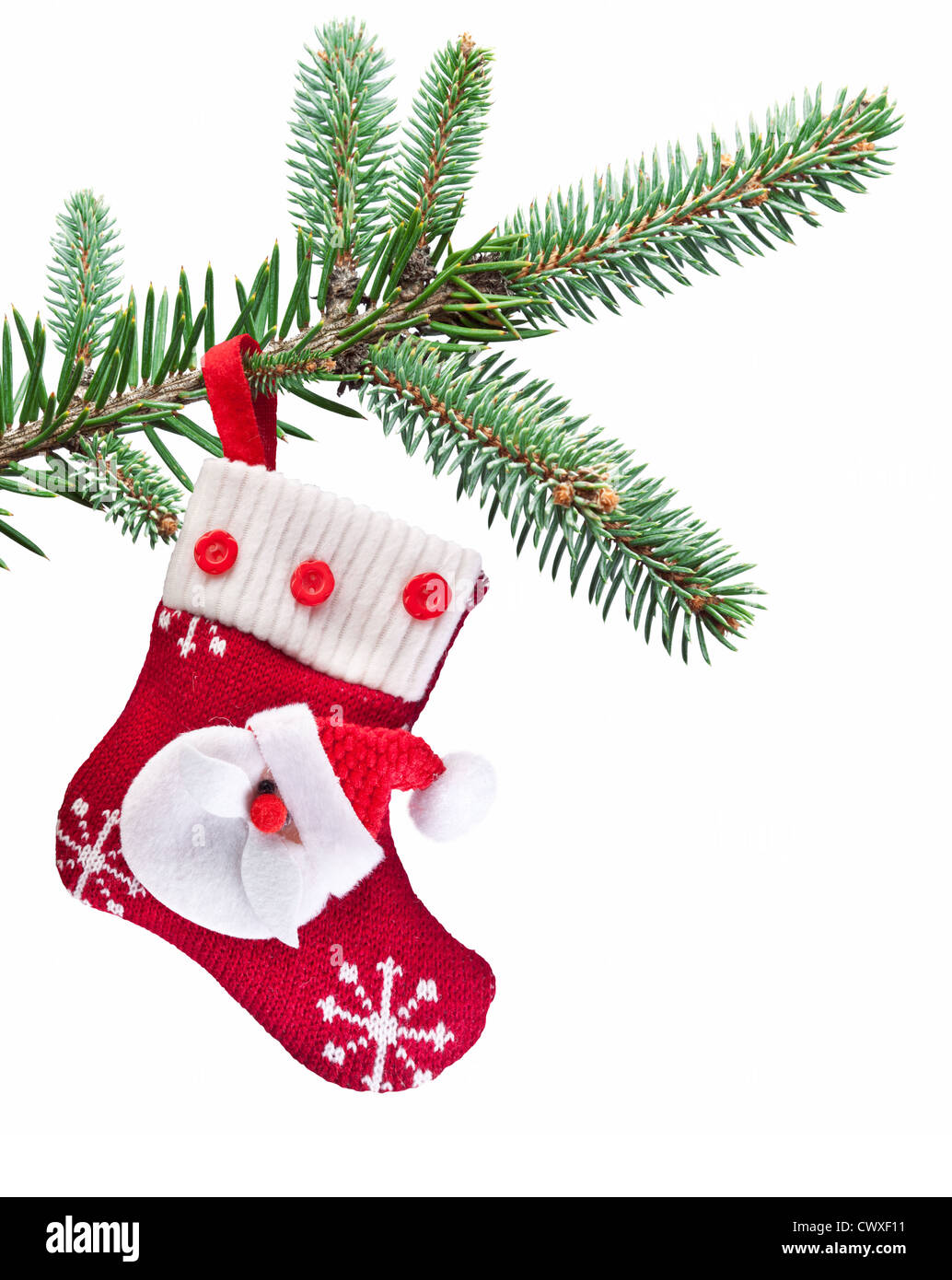 Christmas sock with Santa Claus on on fir branch. White background. Stock Photo