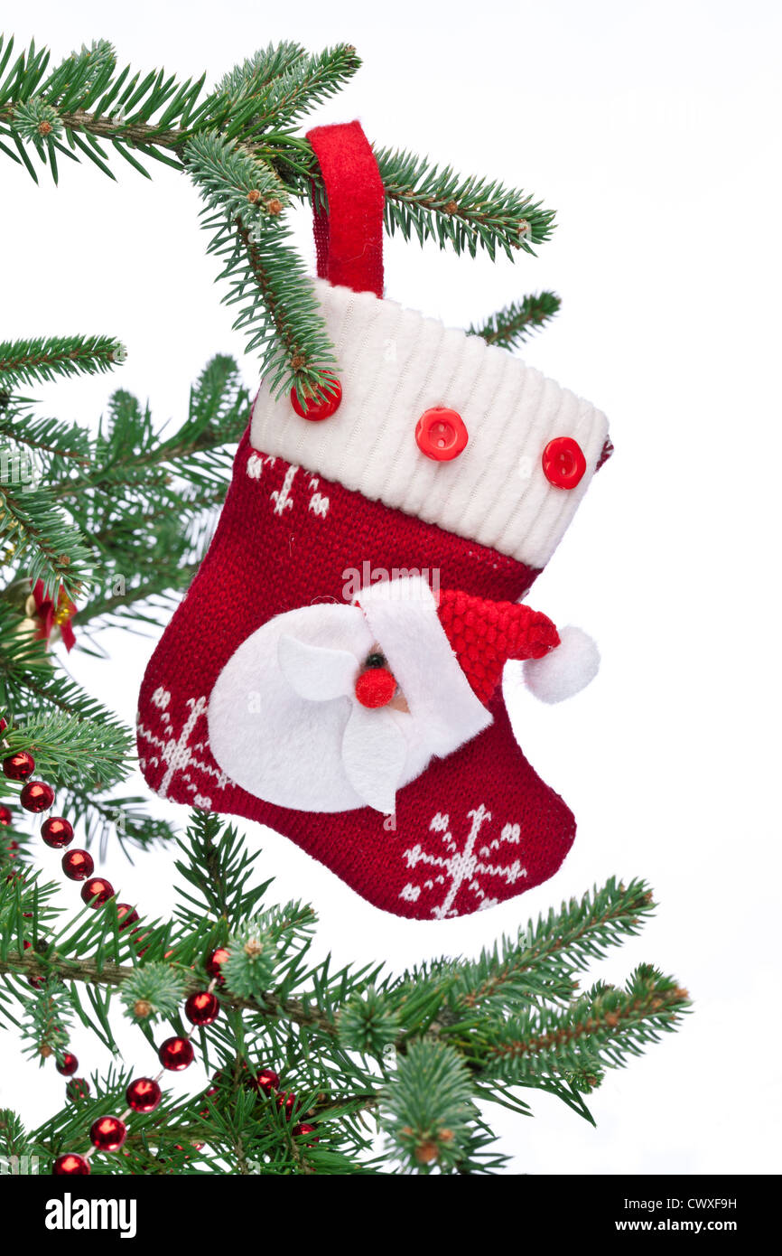 Christmas sock with Santa Claus on on fir branch. White background. Stock Photo