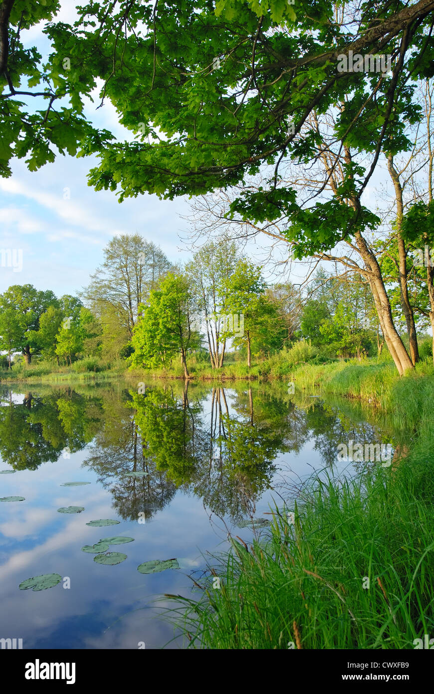 Trees reflected in water at sunrise hi-res stock photography and images ...