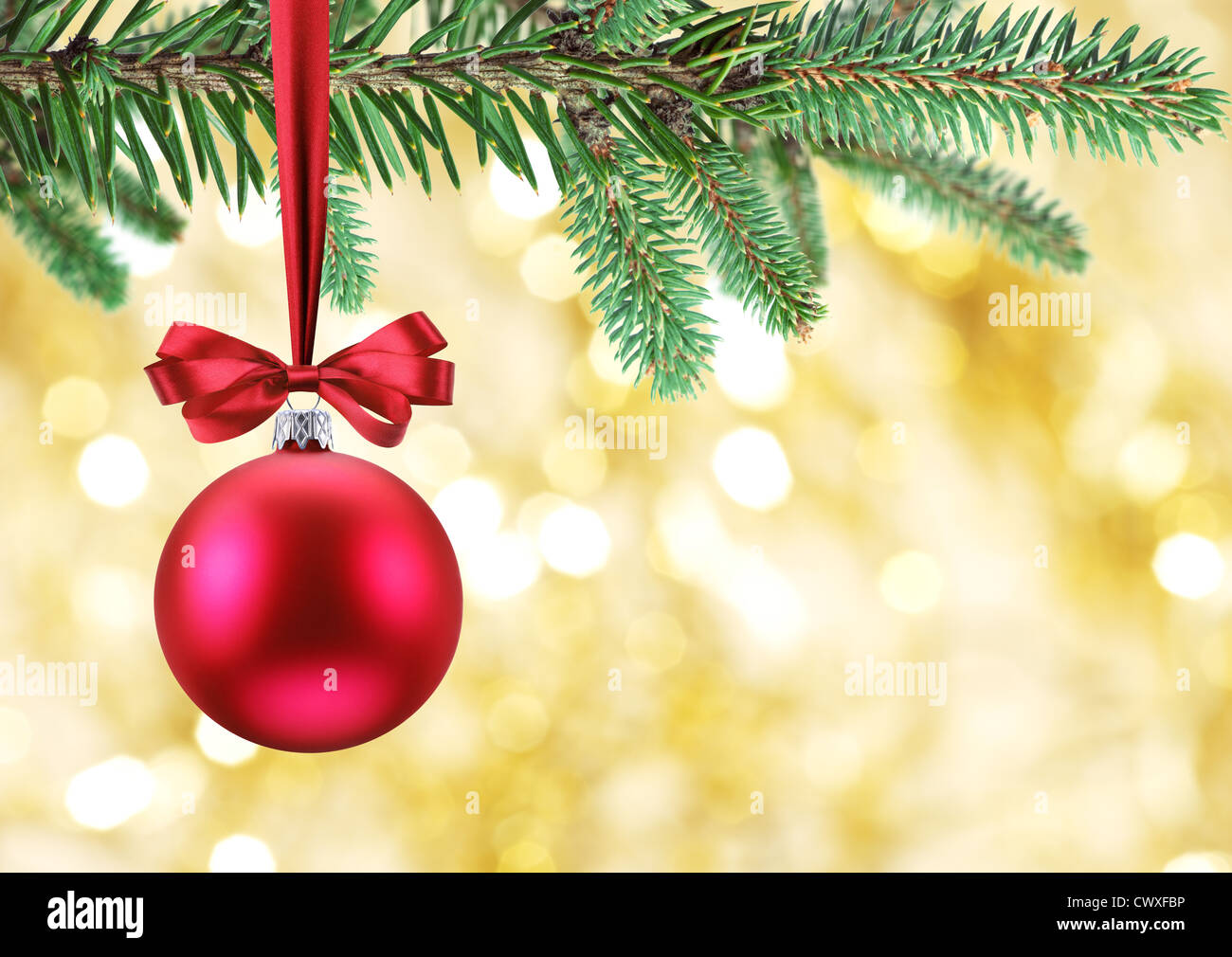 Christmas ball on fir branches. Stock Photo