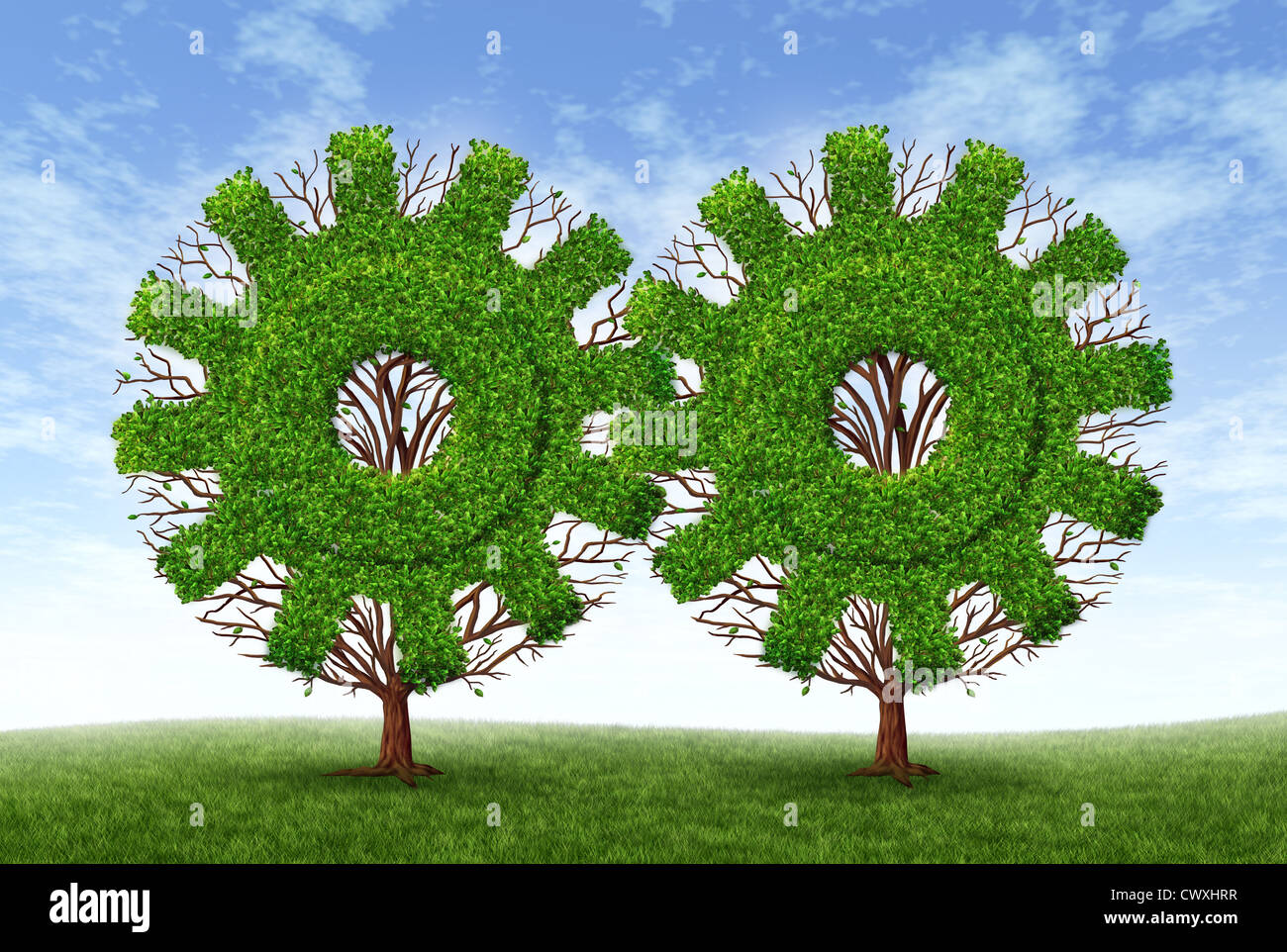Growing business partnership and strategic alliance and financial teamwork with two trees in the shape of gears and cogs as symbols of strong conservative growth for success and future wealth on a blue sky. Stock Photo