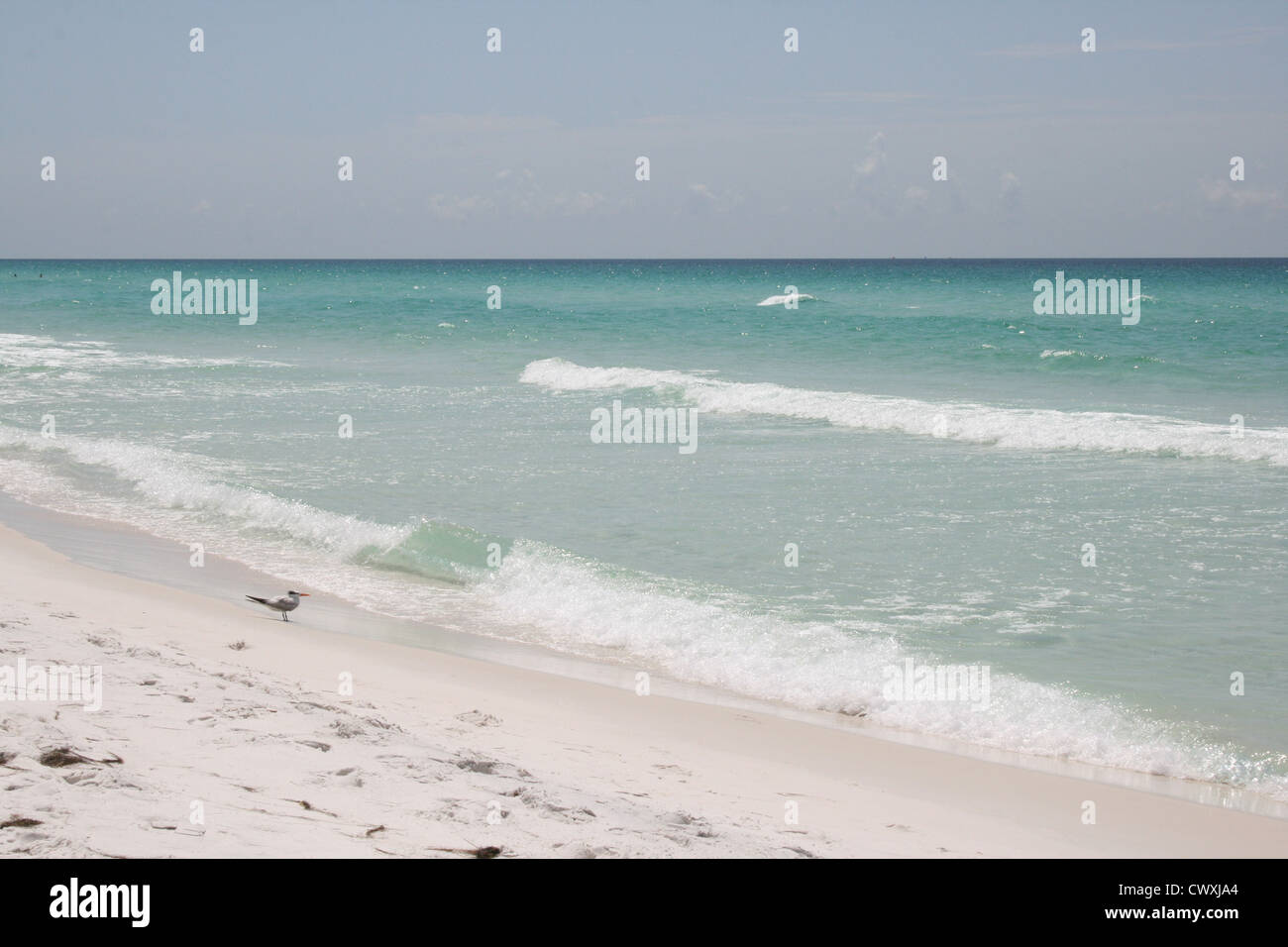 panama city beach florida gulf coast emerald seas crystal clear water Stock Photo