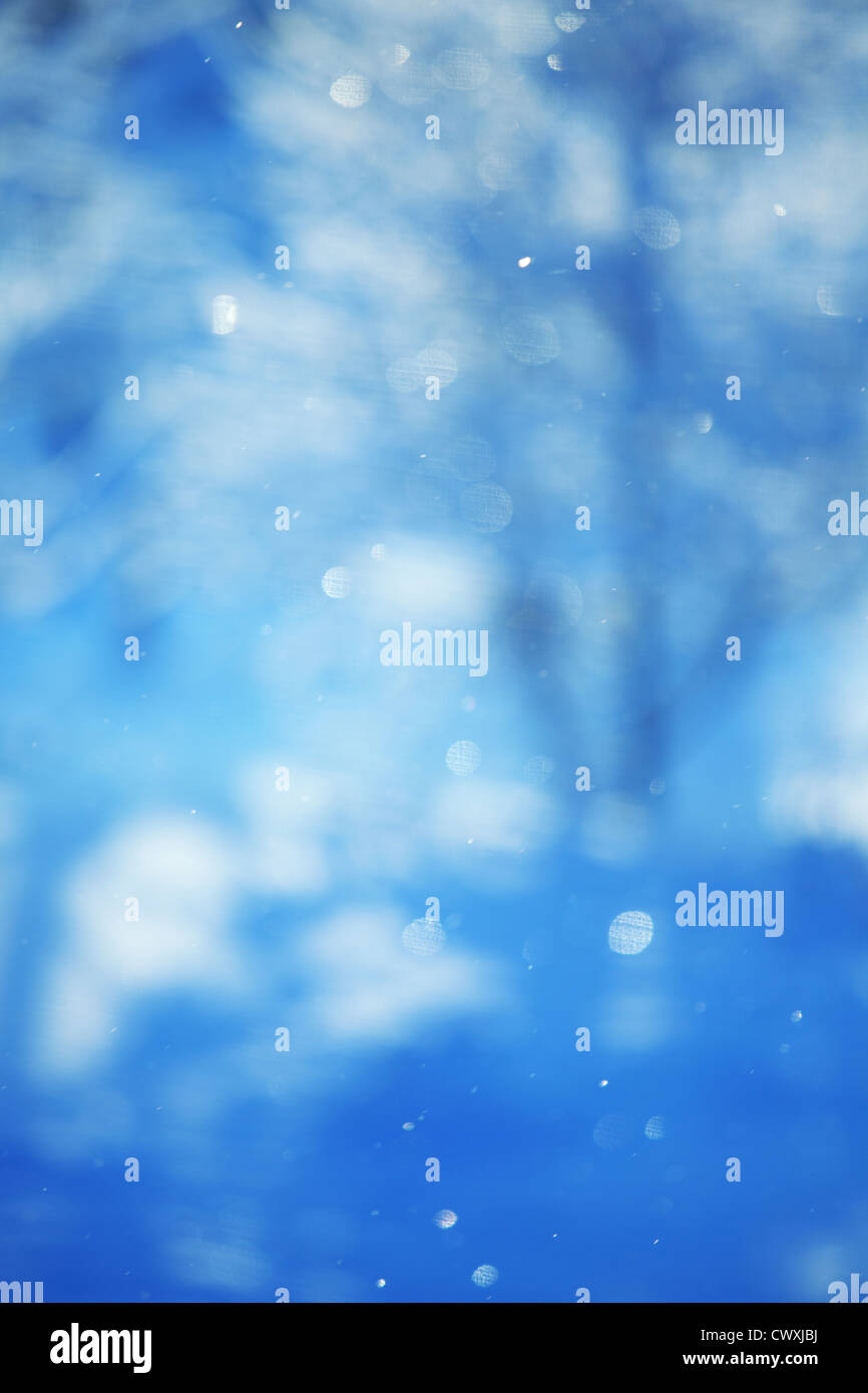 pine forest in snow Stock Photo - Alamy